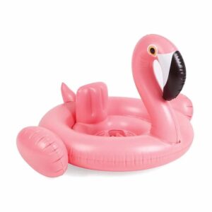 Baby Pink Flamingo Float