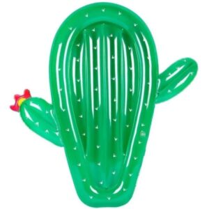Cactus Inflatable Float